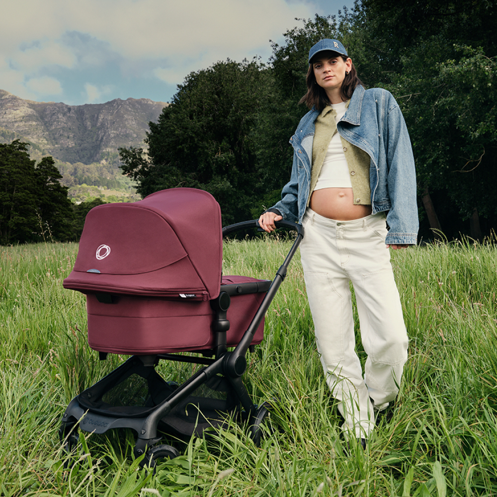 dragonfly plus de bugaboo 8 dragonfly plus de bugaboo