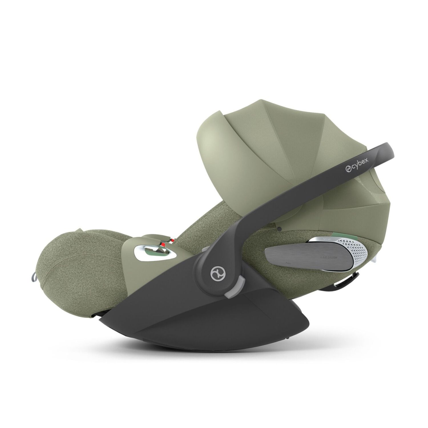 Sage Green (Plus)